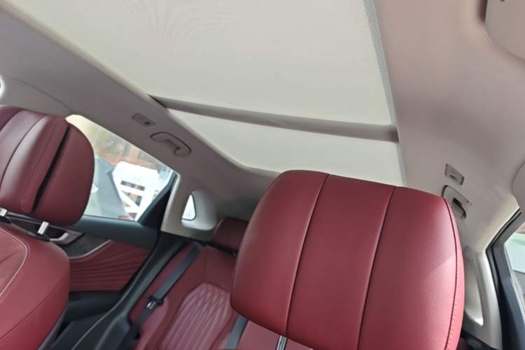 Used Hongqi HS5 2023 2.0T Four-Wheel Drive Flagship Pro Edition Headliner
