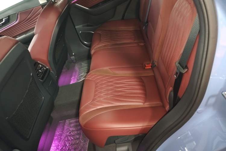 Used Hongqi HS5 2023 2.0T Four-Wheel Drive Flagship Pro Edition Left Rear Seat