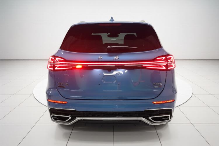 Used Hongqi HS5 2023 2.0T Four-Wheel Drive Flagship Pro Edition Rear