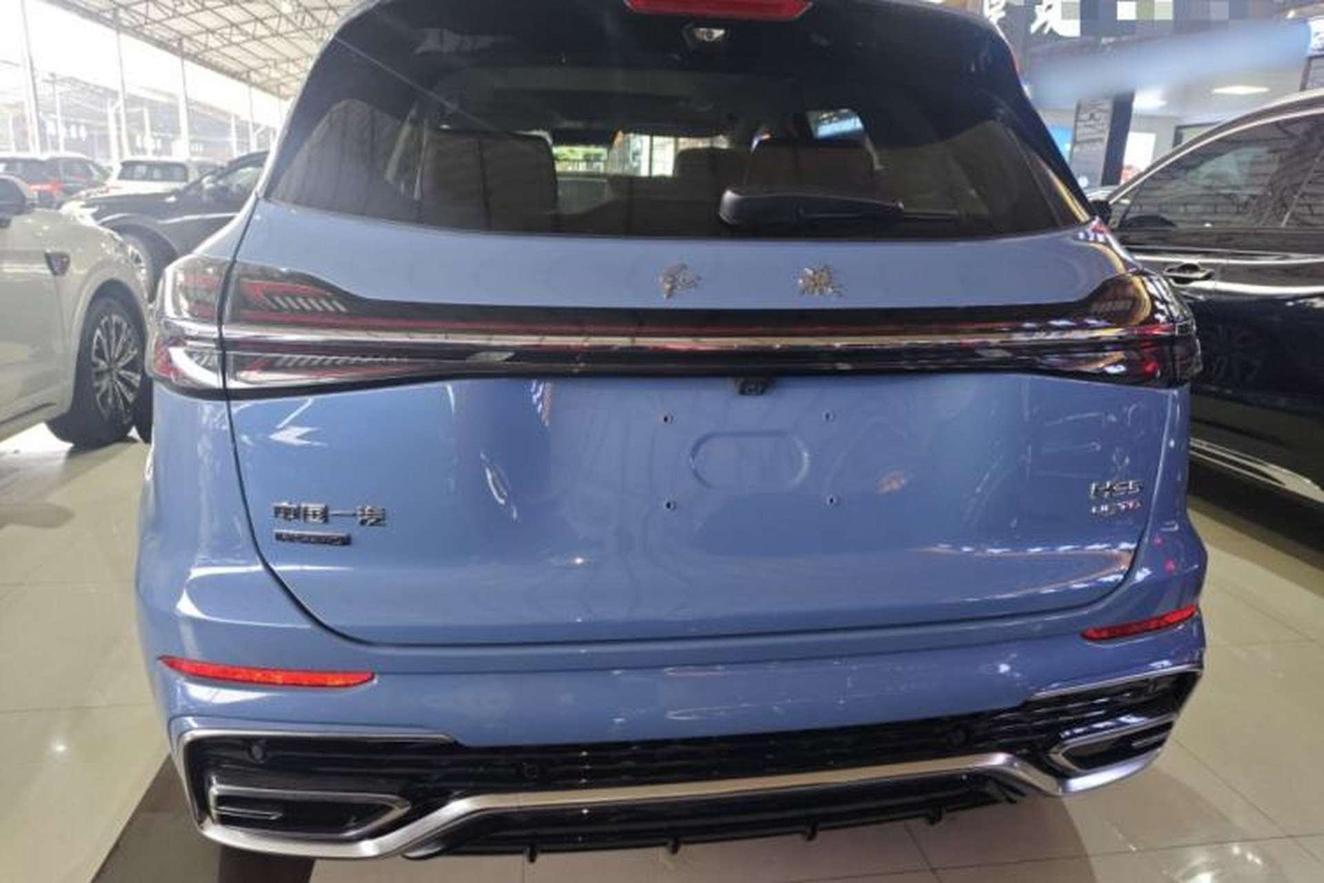 Used Hongqi HS5 2023 2.0T Four-Wheel Drive Flagship Pro Edition Rear