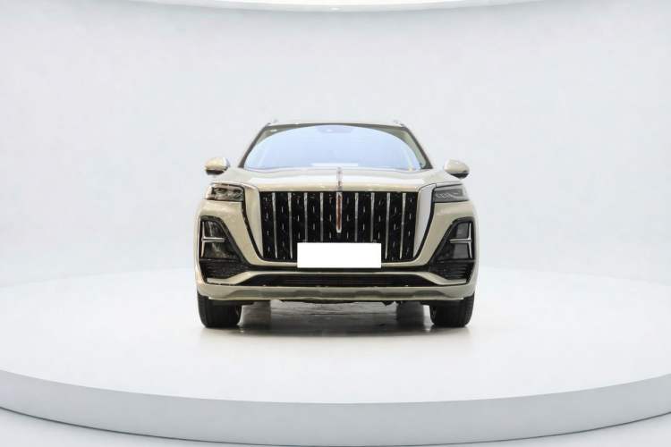 Used Hongqi HS5 2023 2.0T Four-Wheel Drive Flagship Pro Edition Exterior 1