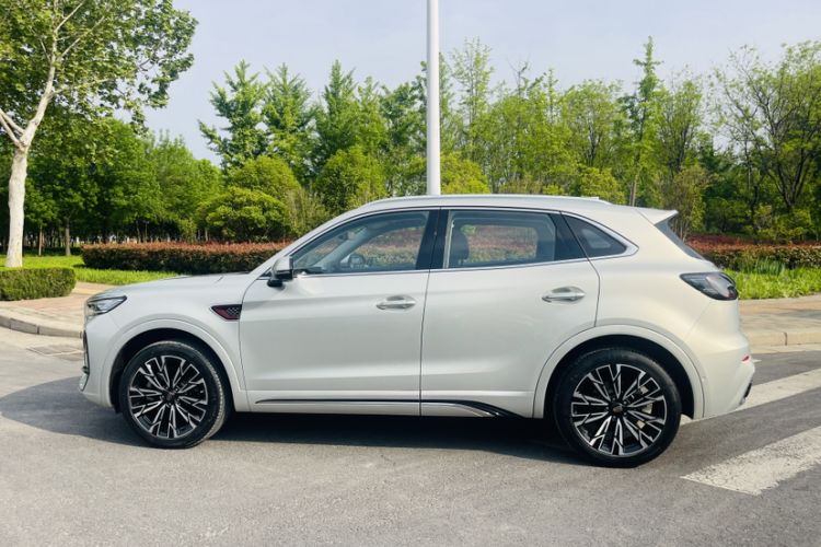 Used Hongqi HS5 2023 2.0T Four-Wheel Drive Flagship Pro Edition Exterior 5