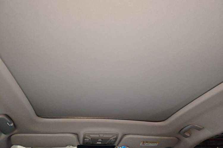 Used Hongqi HS5 2023 2.0T Four-Wheel Drive Flagship Pro Edition Headliner