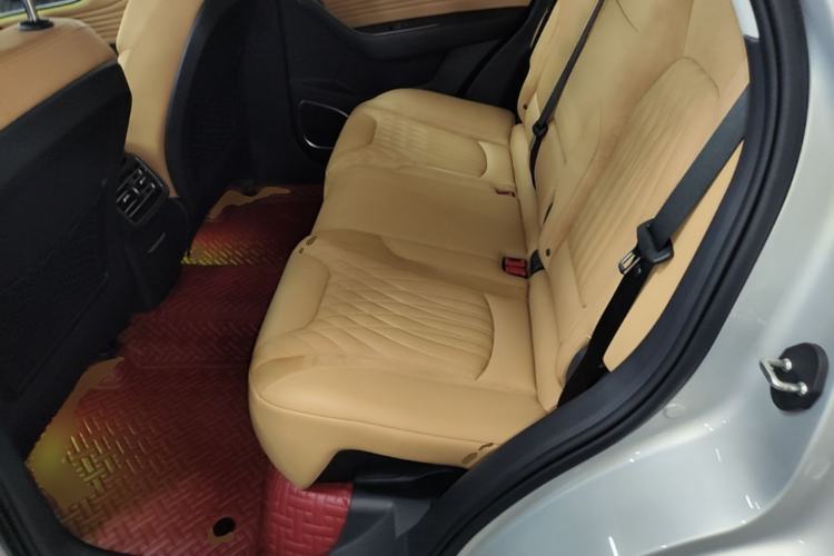 Used Hongqi HS5 2023 2.0T Four-Wheel Drive Flagship Pro Edition Left Rear Seat