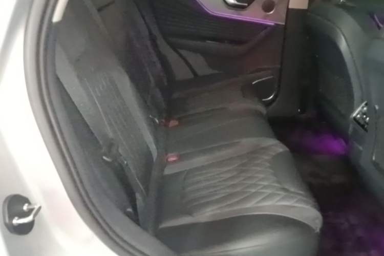 Used Hongqi HS5 2023 2.0T Qixiang Pro Edition Left Rear Seat