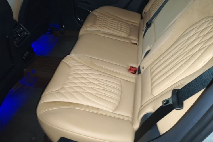 Used Hongqi HS5 2023 2.0T Four-Wheel Drive Flagship Pro Edition Left Rear Seat