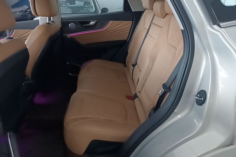 Used Hongqi HS5 2023 2.0T Four-Wheel Drive Flagship Pro Edition Left Rear Seat