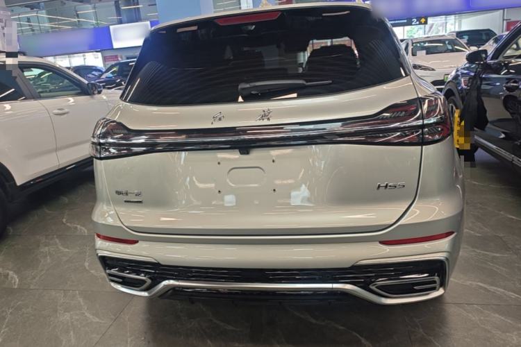 Used Hongqi HS5 2023 2.0T Four-Wheel Drive Flagship Pro Edition Rear