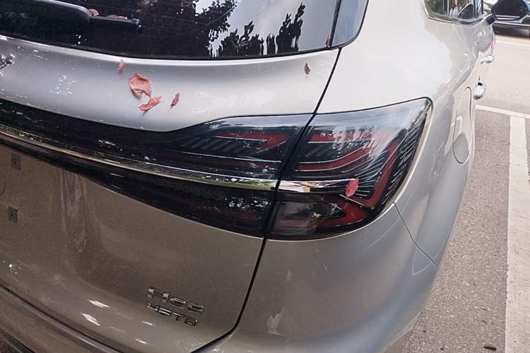Used Hongqi HS5 2023 2.0T Qixiang Pro Edition Right Rear Taillight
