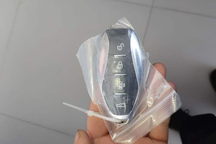 Used Hongqi HS5 2023 2.0T Qixiang Pro Edition Vehicle Key