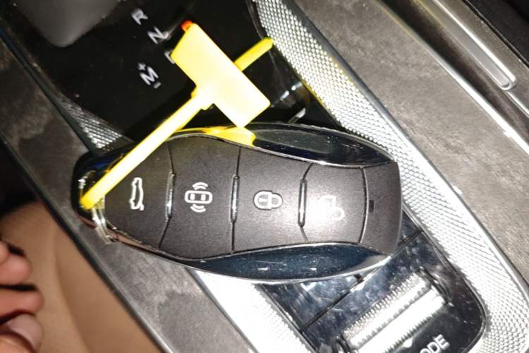 Used Hongqi HS5 2023 2.0T Four-Wheel Drive Flagship Pro Edition Vehicle Key