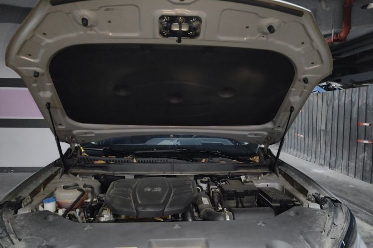 Used Hongqi HS5 2023 2.0T Qixiang Pro Edition Engine Bay