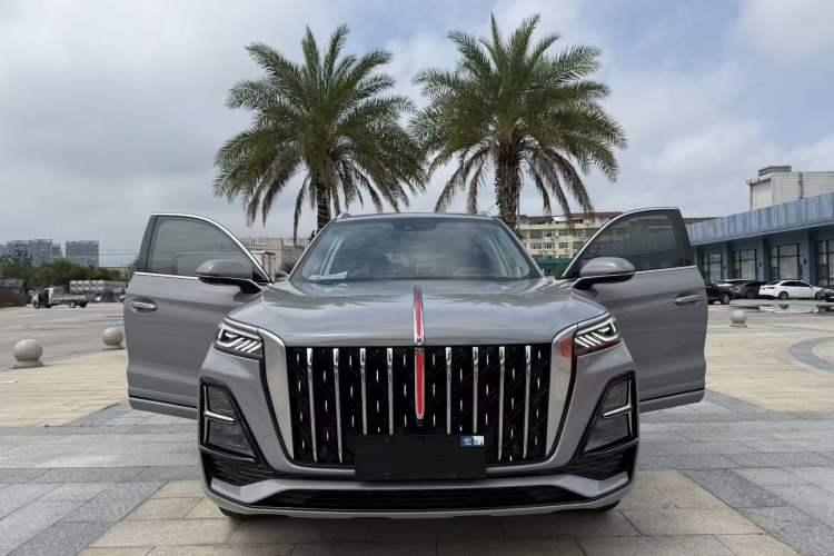 Used Hongqi HS5 2023 2.0T Four-Wheel Drive Flagship Pro Edition Exterior 6