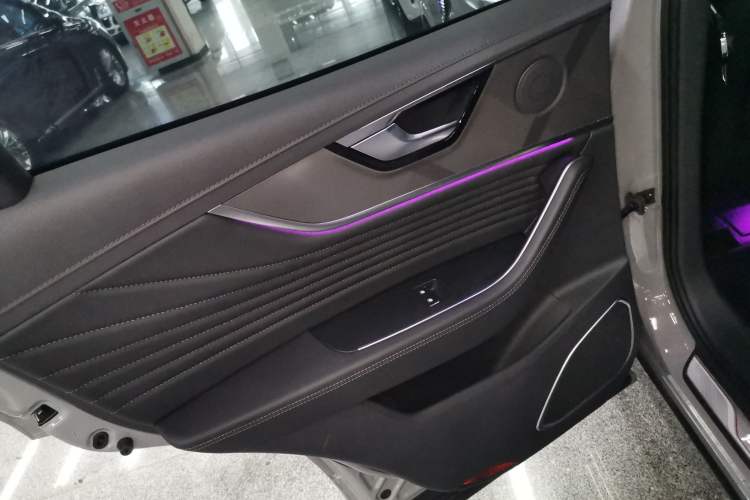Used Hongqi HS5 2023 2.0T Qixiang Pro Edition Left Rear Door Interior