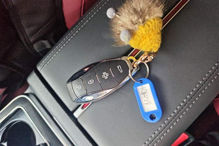 Used Hongqi HS5 2023 2.0T Qixiang Pro Edition Vehicle Key