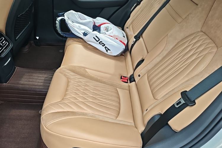 Used Hongqi HS5 2023 2.0T Four-Wheel Drive Flagship Pro Edition Left Rear Seat