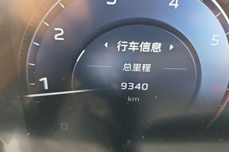 Used Hongqi HS5 2023 2.0T Four-Wheel Drive Flagship Pro Edition Odometer Close Up