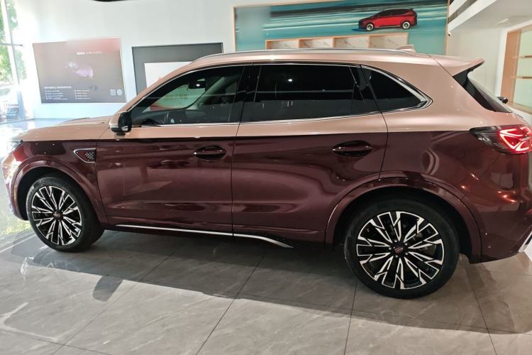 Used Hongqi HS5 2023 2.0T Four-Wheel Drive Flagship Pro Edition Left Side