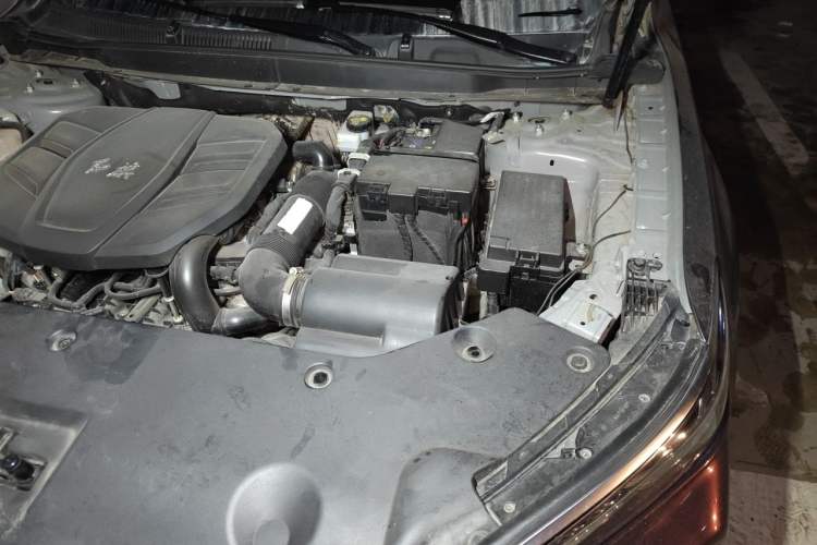 Used Hongqi HS5 2023 2.0T Qixiang Pro Edition Engine Bay Left