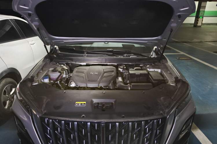 Used Hongqi HS5 2023 2.0T Qixiang Pro Edition Engine Bay
