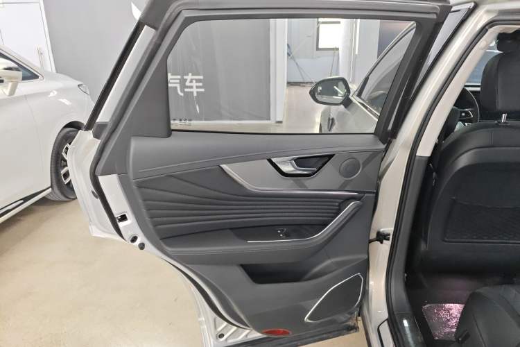 Used Hongqi HS5 2023 2.0T Four-Wheel Drive Flagship Pro Edition Left Rear Door Interior
