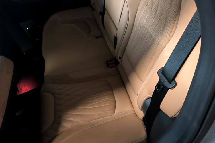 Used Hongqi HS5 2023 2.0T Four-Wheel Drive Flagship Pro Edition Left Rear Seat