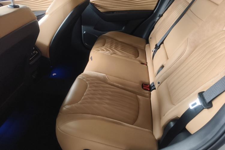 Used Hongqi HS5 2023 2.0T Four-Wheel Drive Flagship Pro Edition Left Rear Seat