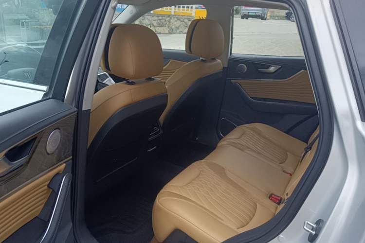 Used Hongqi HS5 2023 2.0T Four-Wheel Drive Flagship Pro Edition Left Rear Seat