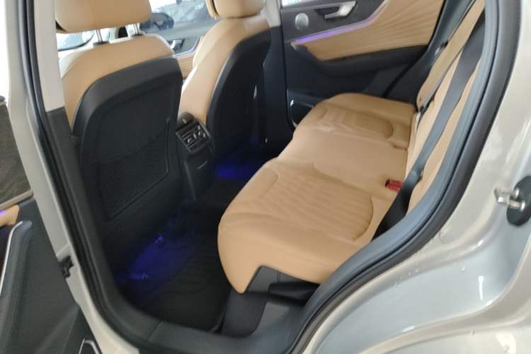 Used Hongqi HS5 2023 2.0T Four-Wheel Drive Flagship Pro Edition Left Rear Seat