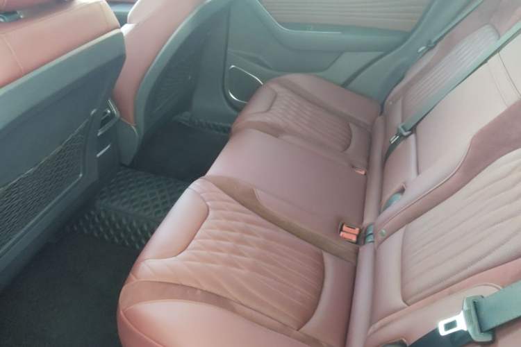Used Hongqi HS5 2023 2.0T Four-Wheel Drive Flagship Pro Edition Left Rear Seat