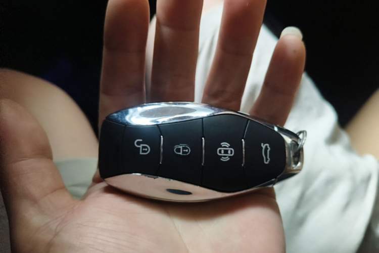 Used Hongqi HS5 2023 2.0T Four-Wheel Drive Flagship Pro Edition Vehicle Key