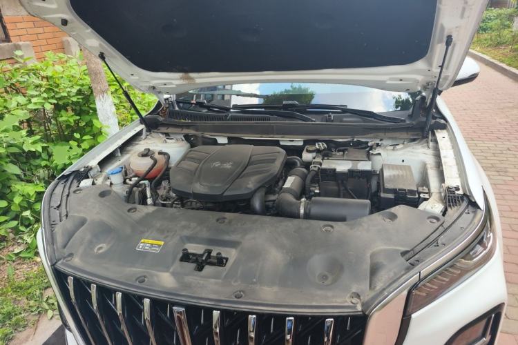 Used Hongqi HS5 2023 2.0T Qixiang Pro Edition Engine Bay