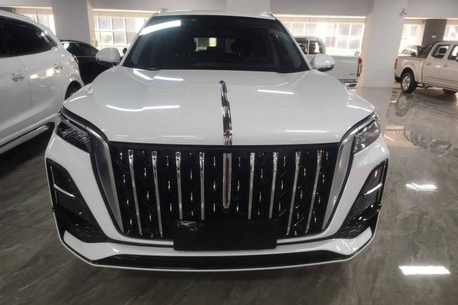 Used Hongqi HS5 2023 2.0T Four-Wheel Drive Flagship Pro Edition Exterior 1