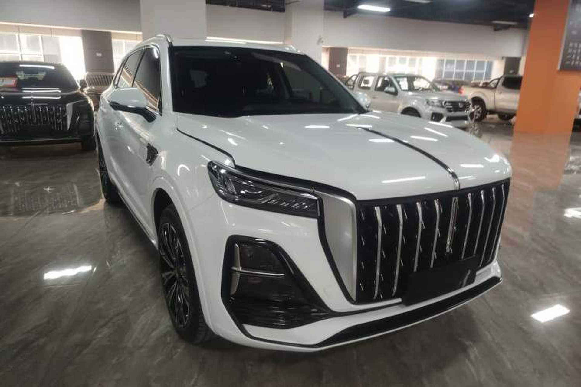 Used Hongqi HS5 2023 2.0T Four-Wheel Drive Flagship Pro Edition Exterior 2