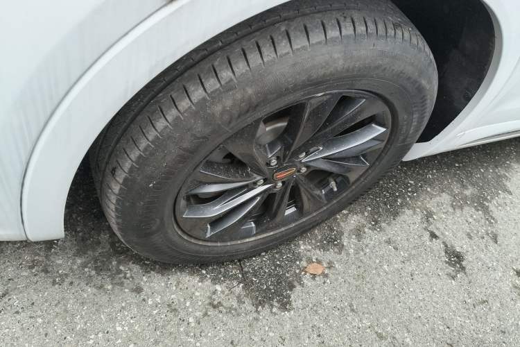 Used Hongqi HS5 2023 2.0T Qixiang Pro Edition Exterior 4
