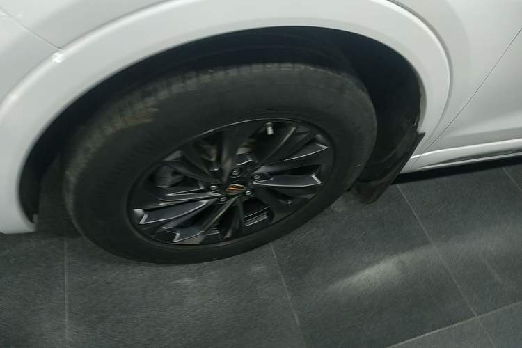 Used Hongqi HS5 2023 2.0T Qixiang Pro Edition Exterior 4