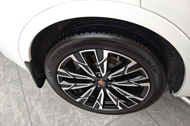 Used Hongqi HS5 2023 2.0T Four-Wheel Drive Flagship Pro Edition Exterior 5