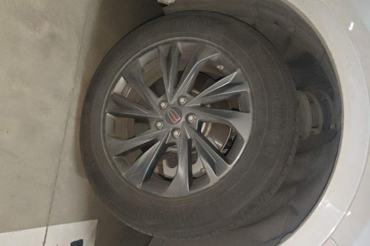 Used Hongqi HS5 2023 2.0T Qixiang Pro Edition Exterior 7