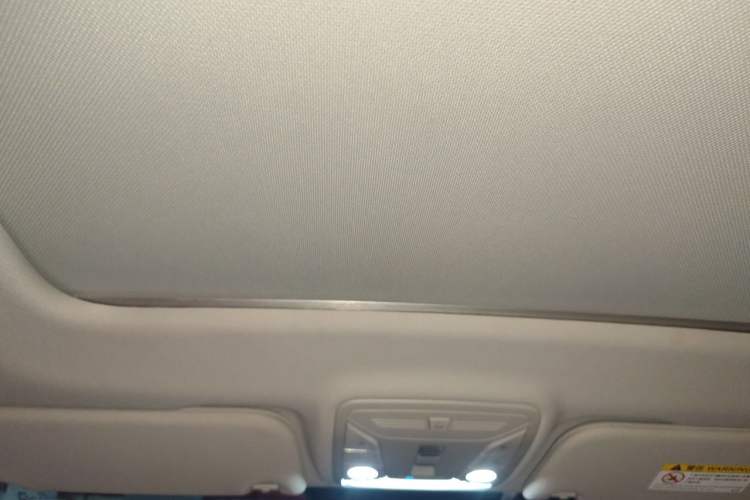 Used Hongqi HS5 2023 2.0T Qixiang Pro Edition Headliner