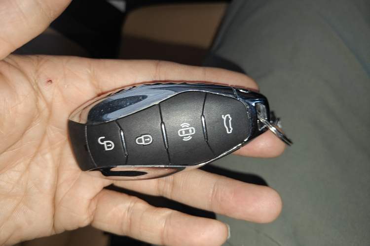 Used Hongqi HS5 2023 2.0T Four-Wheel Drive Flagship Pro Edition Interior 1
