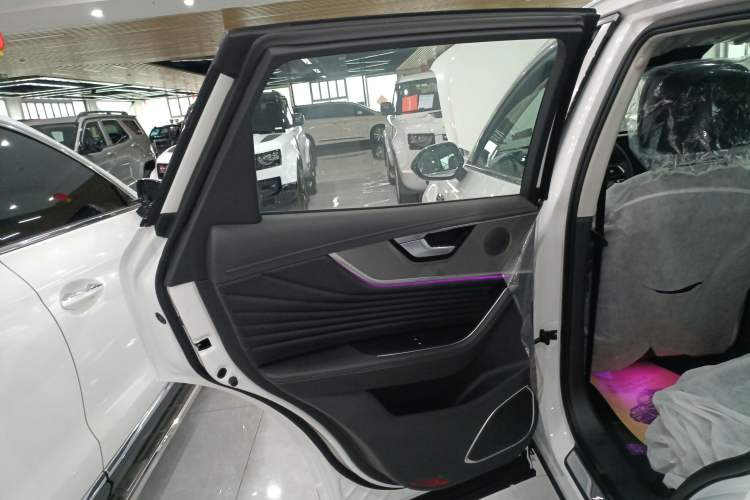 Used Hongqi HS5 2023 2.0T Qixiang Pro Edition Left Rear Door Interior
