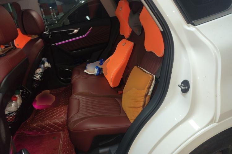 Used Hongqi HS5 2023 2.0T Qixiang Pro Edition Left Rear Seat