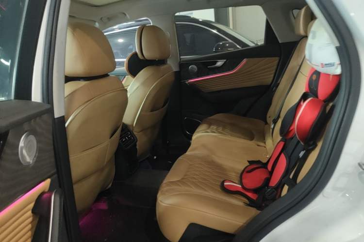 Used Hongqi HS5 2023 2.0T Four-Wheel Drive Flagship Pro Edition Left Rear Seat