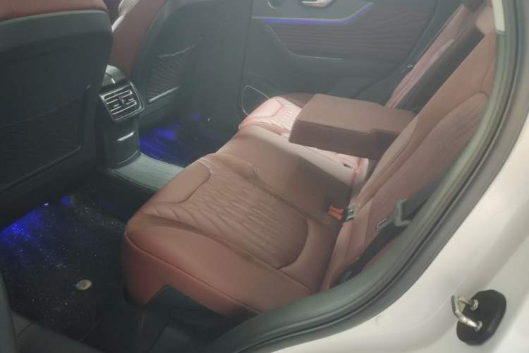 Used Hongqi HS5 2023 2.0T Four-Wheel Drive Flagship Pro Edition Left Rear Seat