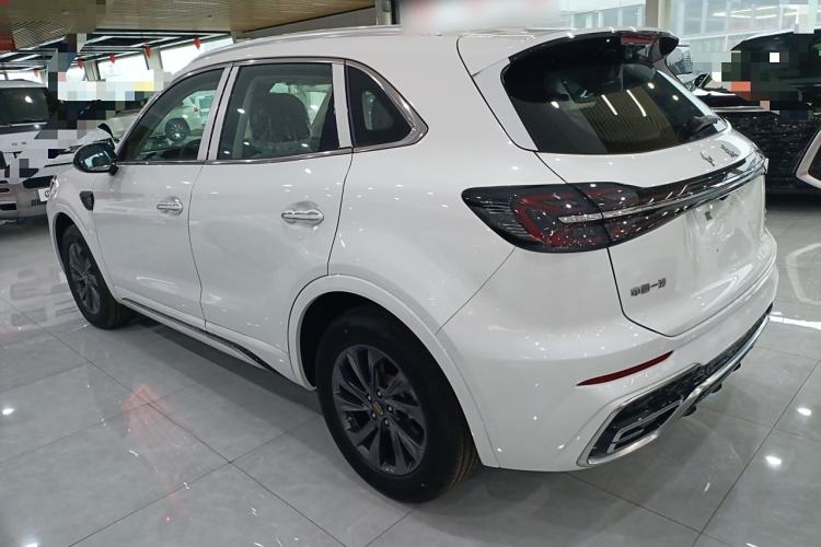 Used Hongqi HS5 2023 2.0T Qixiang Pro Edition Left Side