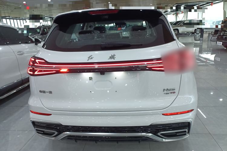 Used Hongqi HS5 2023 2.0T Qixiang Pro Edition Rear