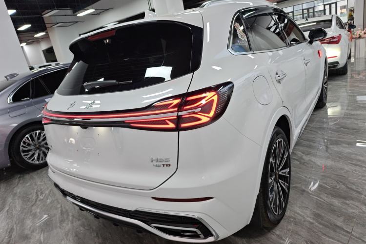 Used Hongqi HS5 2023 2.0T Four-Wheel Drive Flagship Pro Edition Rear