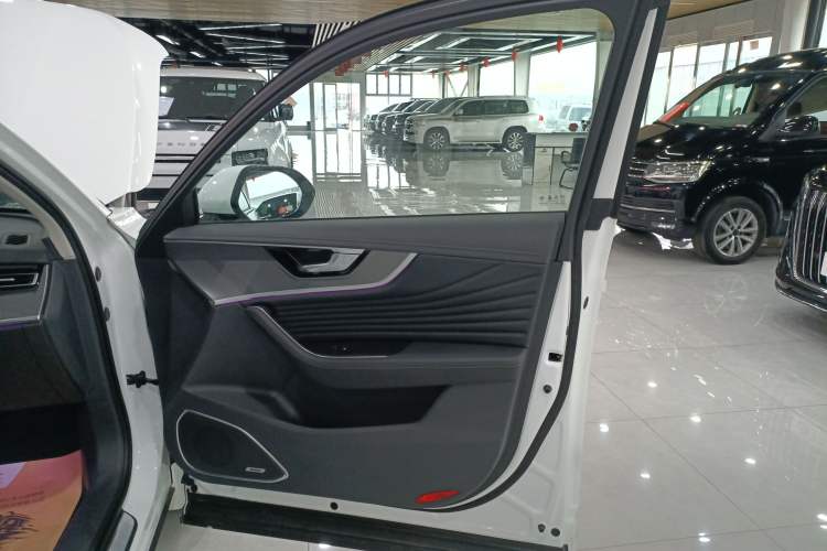 Used Hongqi HS5 2023 2.0T Qixiang Pro Edition Right Front Door Interior
