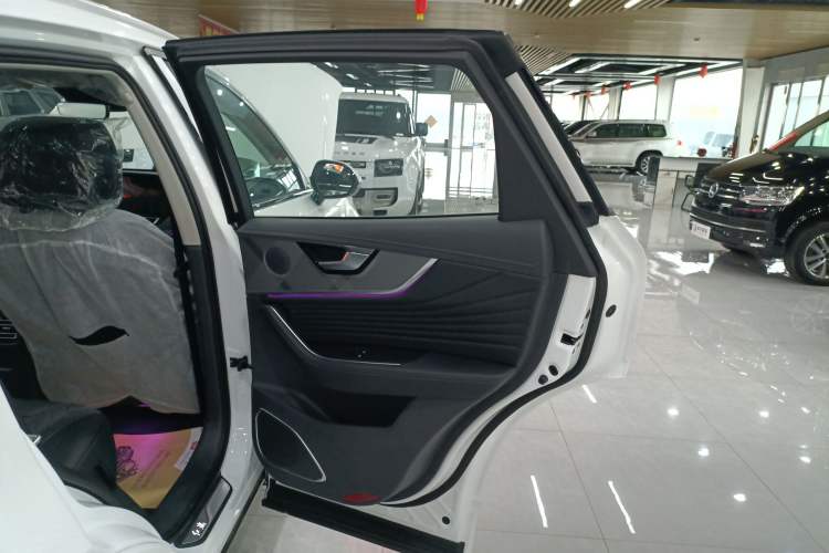 Used Hongqi HS5 2023 2.0T Qixiang Pro Edition Right Rear Door Interior