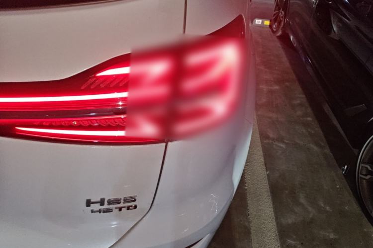 Used Hongqi HS5 2023 2.0T Flagship Pro Edition Right Rear Taillight